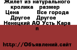 Жилет из натурального кролика,44размер › Цена ­ 500 - Все города Другое » Другое   . Ненецкий АО,Усть-Кара п.